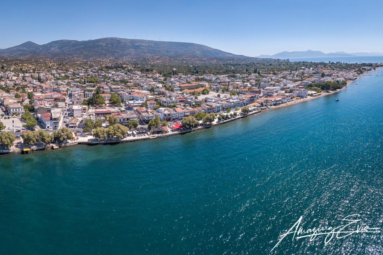 Seaside Villa Andronikos Амарінтос Екстер'єр фото